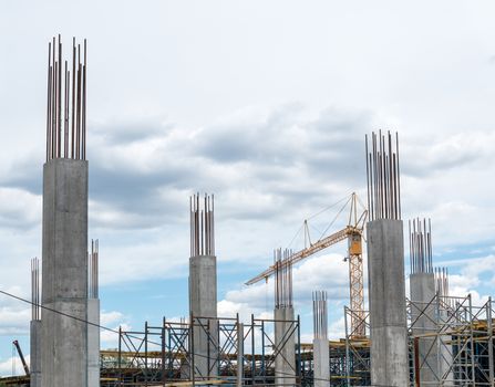 Reinforced concrete piles of the new building and tower crane behind them.