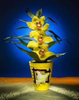 An Easter orchid - Studio still life image photographed using light painting techniques.