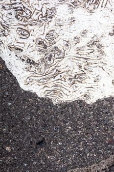 Asphalt surface with the dried-up spot of the spilt white paint.