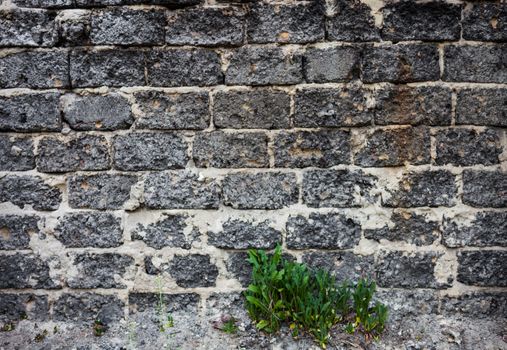 Brick masonry with green dandelion leaves underneath.