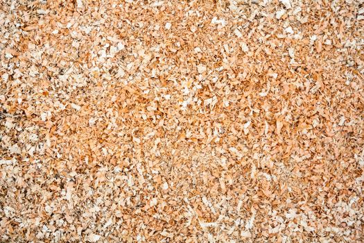 Pile of wood sawdust for background or texture