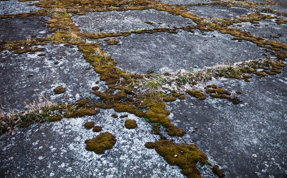 Old grey concrete pavement overgrown with moss.