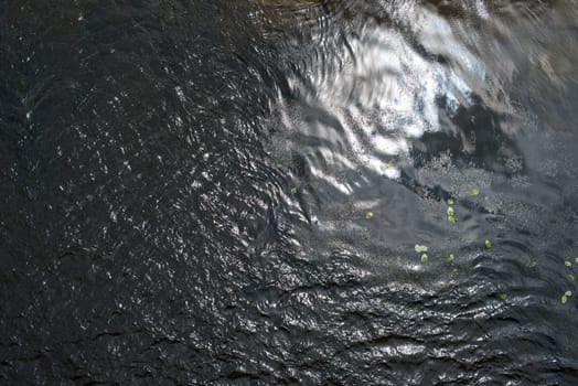 Water surface with ripples and water plants.