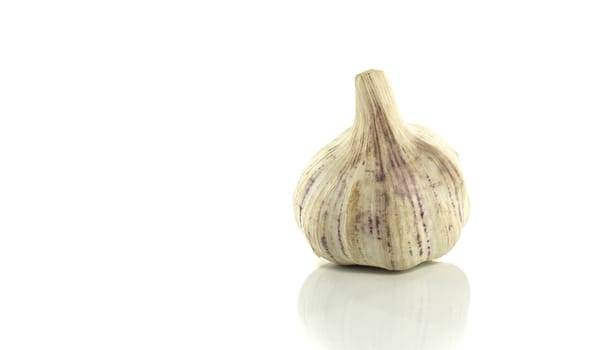 the big french garlic with lot of taste and more spicy then the normal small garlic