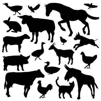 Set of black silhouette of farm animals isolated in white background