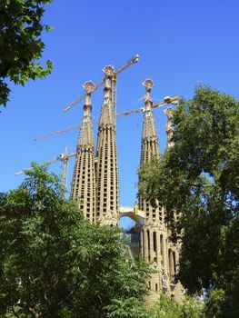 Sagrada familia church behind trees by beautiful day in Barcelona, Spain