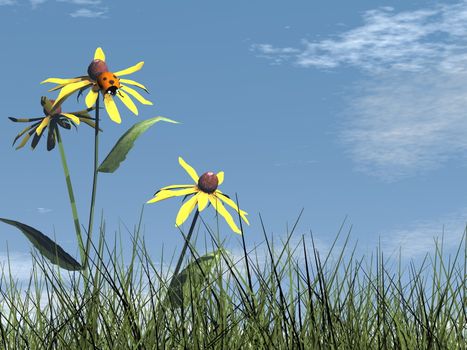 Ladybird on a flower in a meadow by day - 3D render