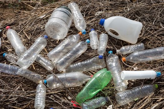 Beach pollution. Plastic bottles and other trash on river beach