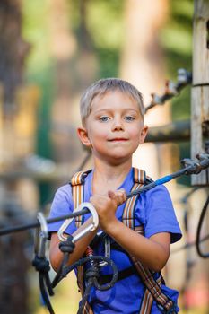 Happy child. Portrait of preschool boy enjoying activity in a climbing adventure park on a summer day