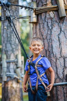 Happy child. Portrait of preschool boy enjoying activity in a climbing adventure park on a summer day