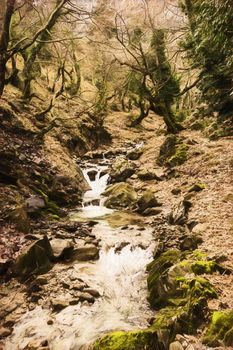 A small stream in a forest at winter season - Painting effect