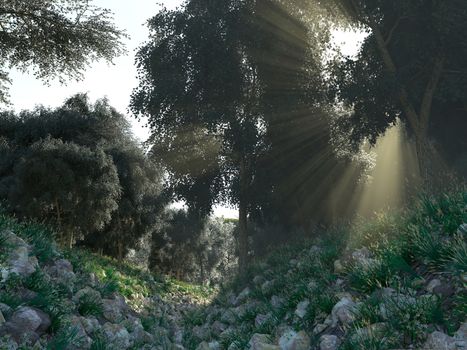 Beautiful sunbeams in green forest background