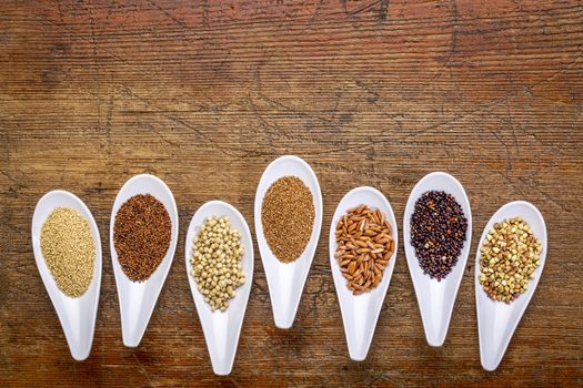 seven healthy, gluten free grains (quinoa, brown rice, amaranth, teff, buckwheat, sorghum. kaniwa), top view of small spoons against rustic wood with a copy space