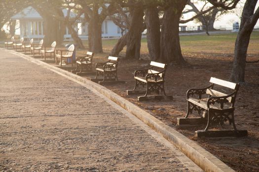 Benches along the walkway. Under the trees in the morning sun reflected.