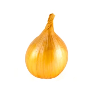 Golden onion on white background isolated