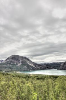 Northern  Norway landscape with fjord, mountains and forest