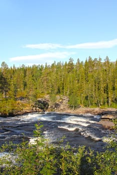 Wild glacier river in summer sunny day, Norway