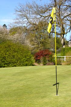 Flag on the golf field and forest on background