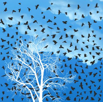 Illustration flock of crows over white tree.