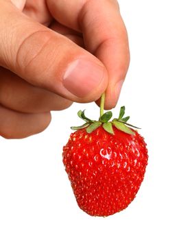 Fresh, juicy and healthy strawberries in the hands, isolated