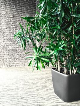 Green plant decorating a room with gray brick wall.