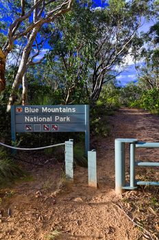 The Blue Mountains National Park, New South Wales, Australia