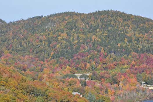 Fall Colors at the White Mountain National Forest in New Hampshire