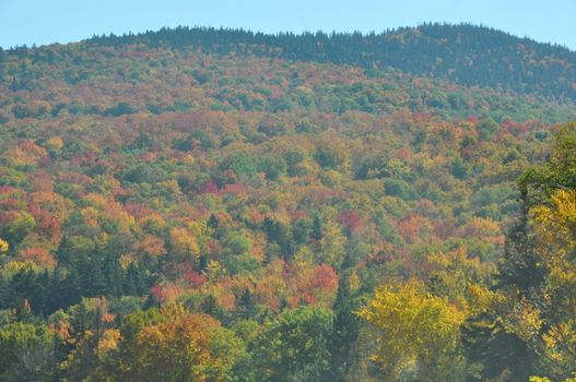 Fall Colors at the White Mountain National Forest in New Hampshire