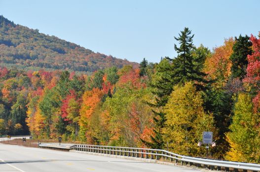 Fall Colors at the White Mountain National Forest in New Hampshire