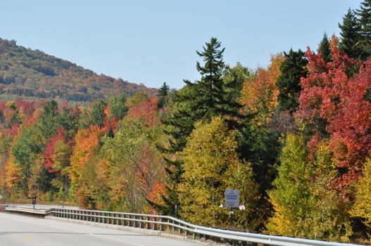 Fall Colors at the White Mountain National Forest in New Hampshire