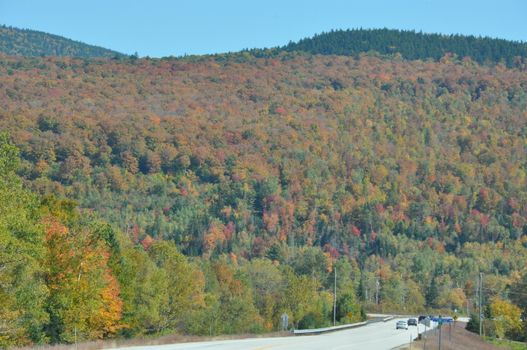 Fall Colors at the White Mountain National Forest in New Hampshire