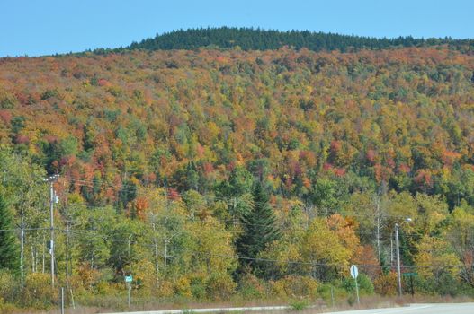 Fall Colors at the White Mountain National Forest in New Hampshire