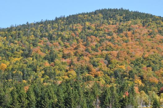 Fall Colors at the White Mountain National Forest in New Hampshire