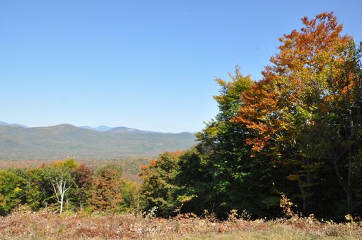 Fall Colors at the White Mountain National Forest in New Hampshire