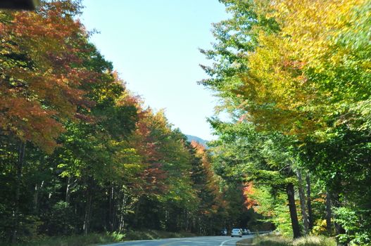 Fall Colors at the White Mountain National Forest in New Hampshire