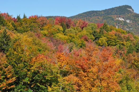 Fall Colors at the White Mountain National Forest in New Hampshire