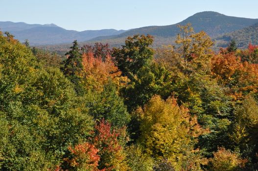 Fall Colors at the White Mountain National Forest in New Hampshire