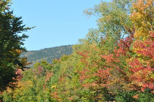 Fall Colors at the White Mountain National Forest in New Hampshire