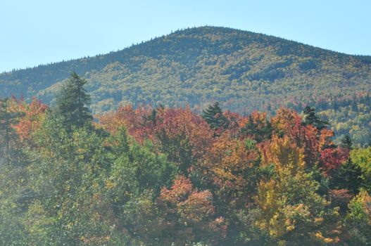 Fall Colors at the White Mountain National Forest in New Hampshire