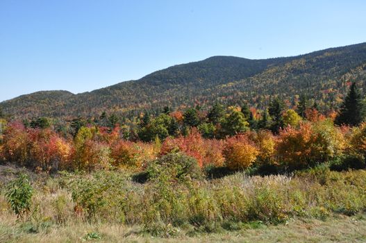 Fall Colors at the White Mountain National Forest in New Hampshire