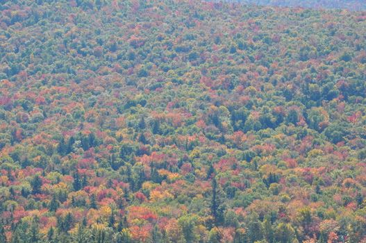 Fall Colors at the White Mountain National Forest in New Hampshire