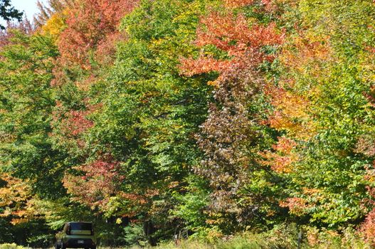 Fall Colors at the White Mountain National Forest in New Hampshire