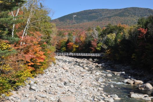 Fall Colors at the White Mountain National Forest in New Hampshire