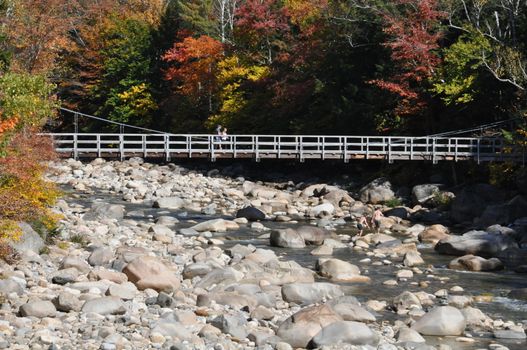 Fall Colors at the White Mountain National Forest in New Hampshire