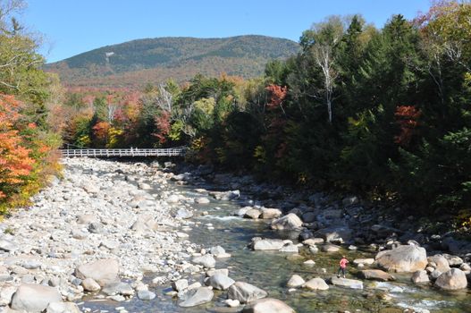 Fall Colors at the White Mountain National Forest in New Hampshire