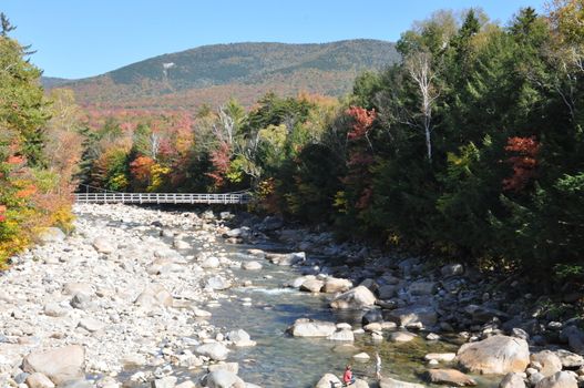 Fall Colors at the White Mountain National Forest in New Hampshire