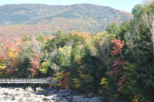 Fall Colors at the White Mountain National Forest in New Hampshire