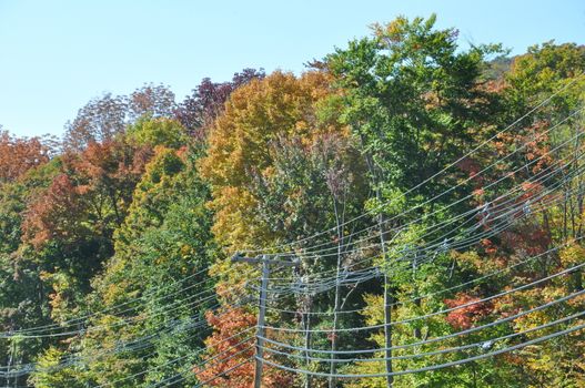 Fall Colors at the White Mountain National Forest in New Hampshire