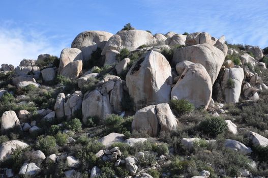 Pines to Palms Scenic Byway in California