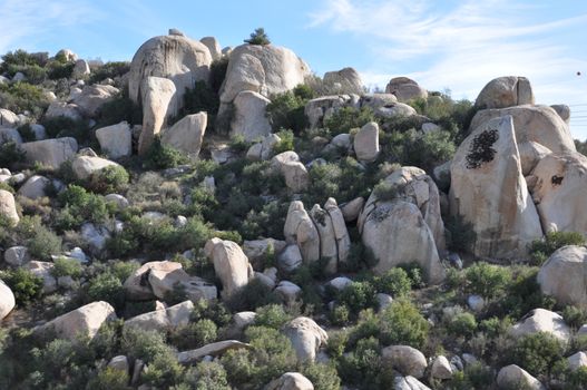 Pines to Palms Scenic Byway in California